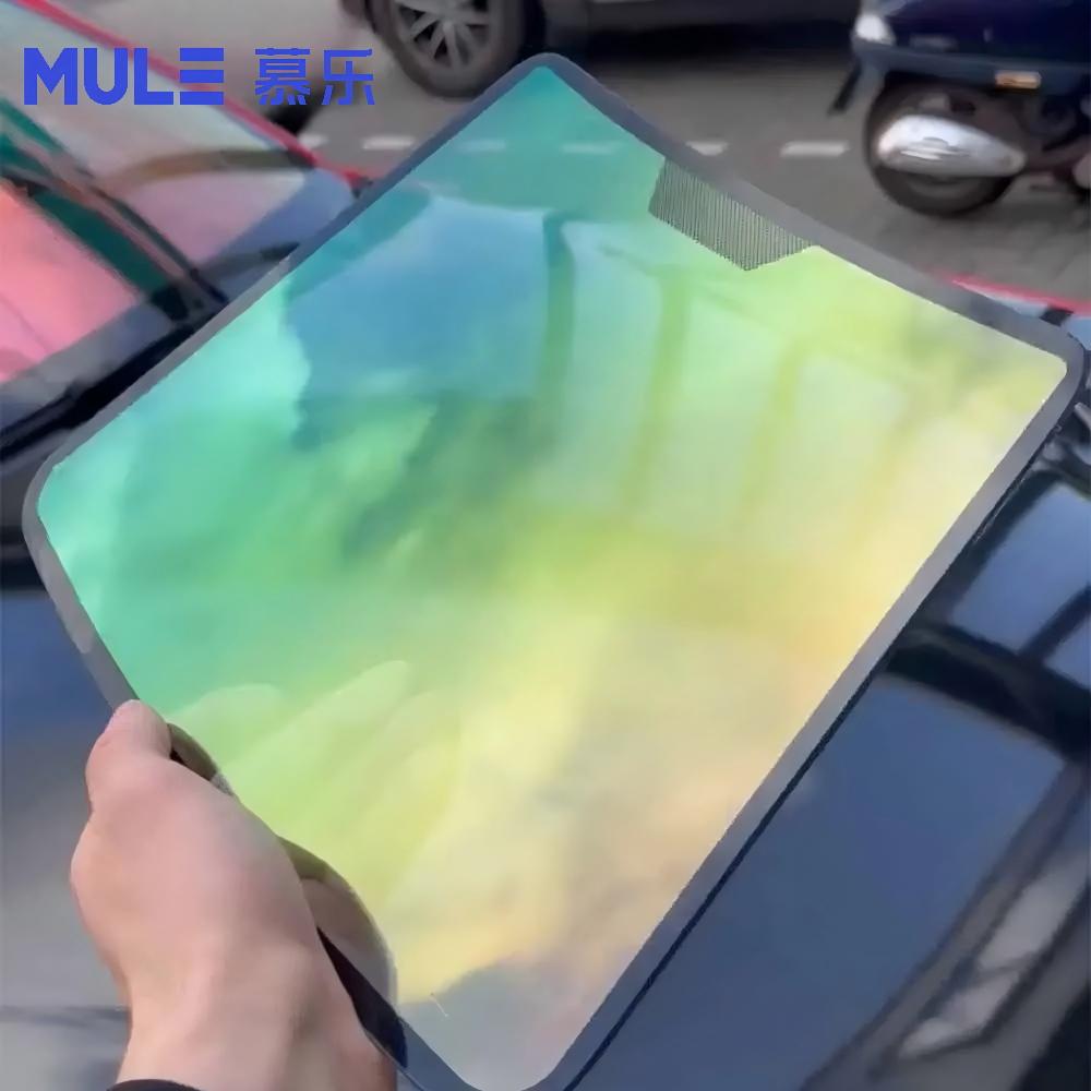 Modelo de Exhibición de Vidrio - Glass Protector Auto reseña y precio